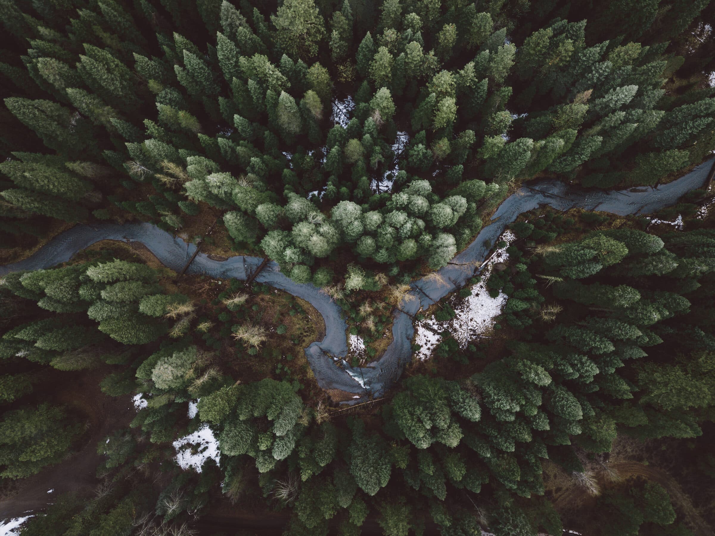 A river winding through dense forest, seen from above